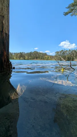 水底の静寂、水面の光