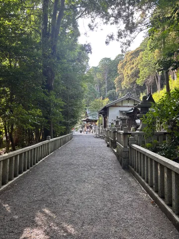 緑に囲まれた神聖なる参道
