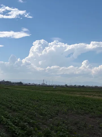 風と空と畑の境界