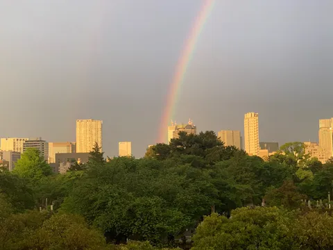 街を彩る七色の橋