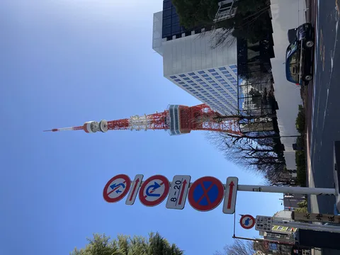 青空に映える街のシンボル
