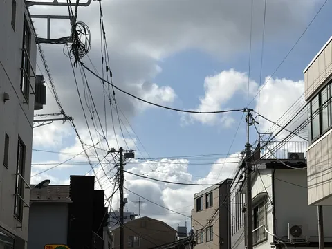 登校
