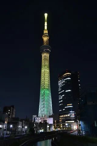 夜空に輝く光の塔