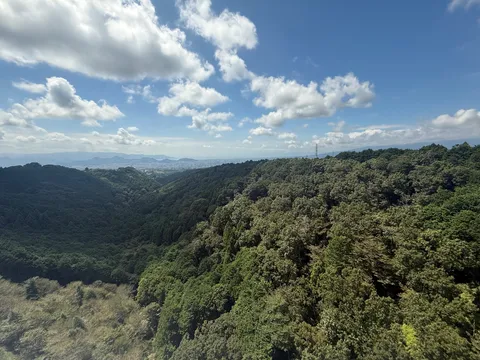 爽やかな空の下、広がる森