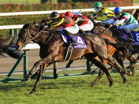 最終直線、有馬記念。
