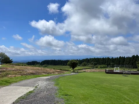 空と緑の広がる風景