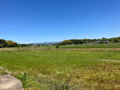 青と緑、どこまでも