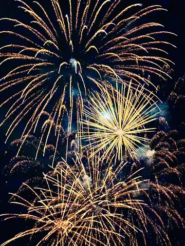 夜空を彩る黄金の光