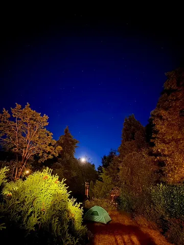 星空の下、静かな夜のキャンプ