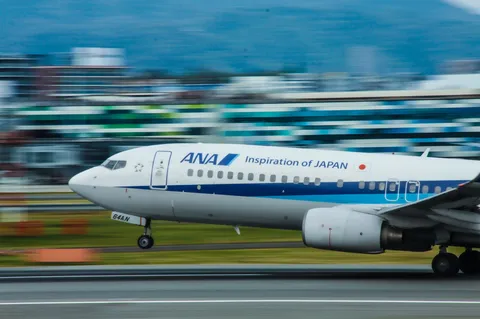 空へと羽ばたく、白い翼