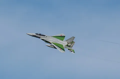 青空を舞う緑の翼