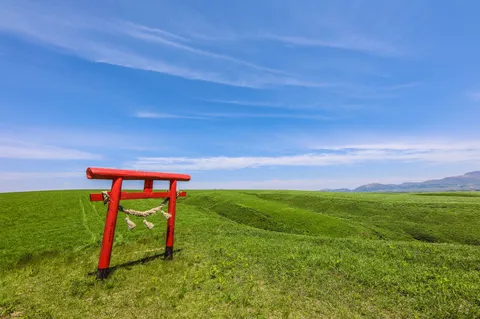 天空への鳥居、緑の海