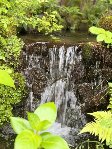 緑が滴る、小さな滝の音