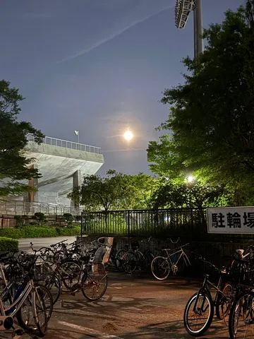 月夜に駐輪場、静かな夜の営み