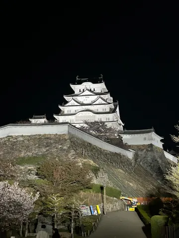 闇夜に輝く白鷺城