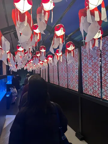 魚灯が踊る通路の風景