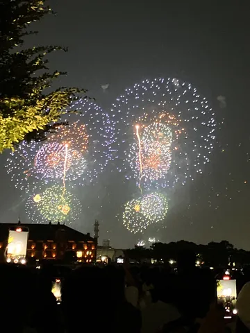 花火と、見上げるスマホの海