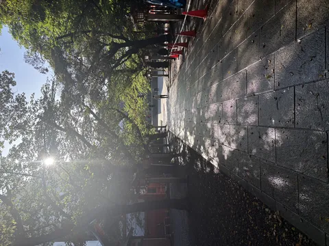 光の道、影の道