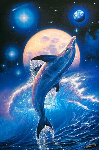 月夜に舞う夢幻のイルカ
