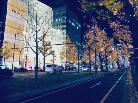 煌めく街路樹と都会の夜景