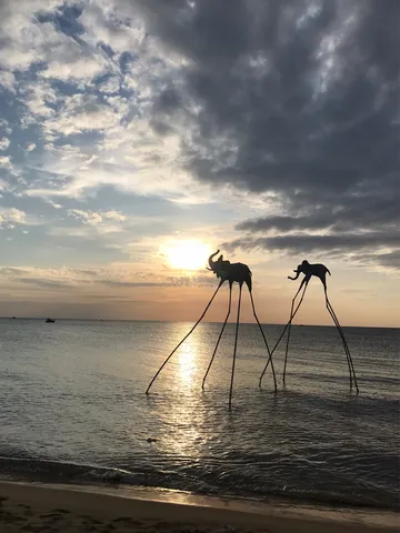 幻想的な象のシルエット、海辺の夕暮れ