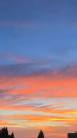 夕空に染まる静かな瞬間