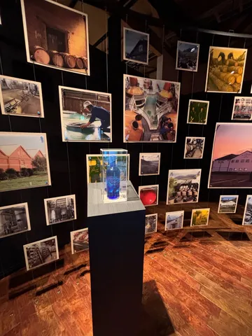 映える展示空間！