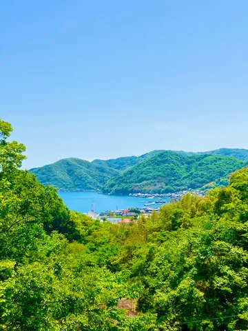 緑に包まれた海辺の町