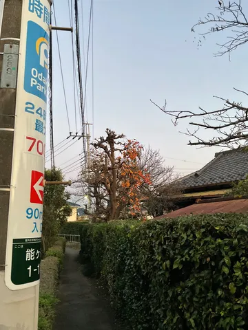 路地に宿る秋の影