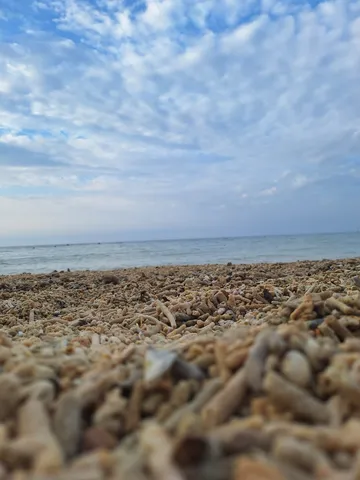 石ころと海の静かな瞬間