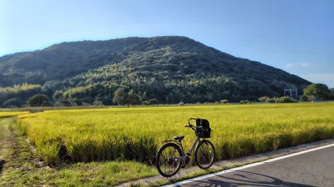 秋風を運ぶ田園の風景