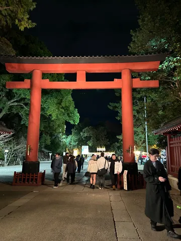 夜の鳥居をくぐる人々