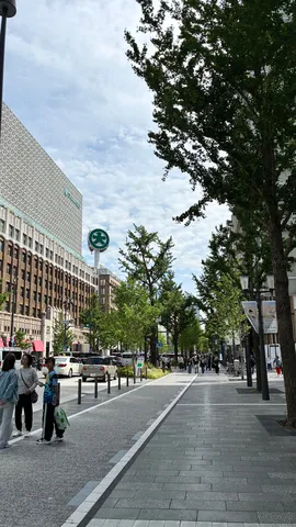 街路樹とモダン建築のコントラスト