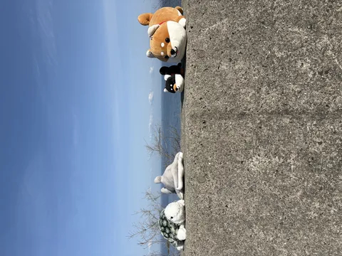海を眺めるぬいぐるみの仲間たち