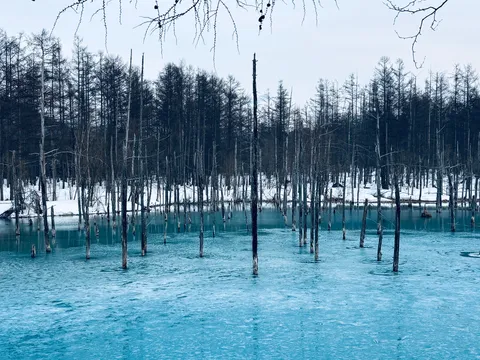 青い氷と静かな森の風景