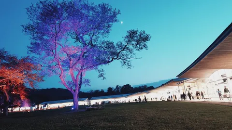 光に染まる夕暮れの広場