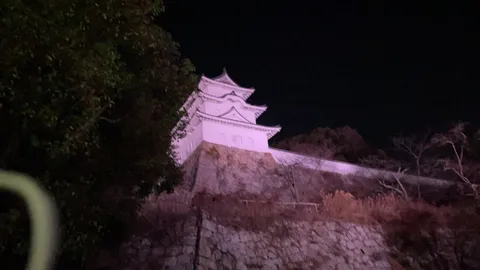夜に浮かぶ白亜の城