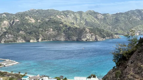 青い海と緑の山々のコントラスト