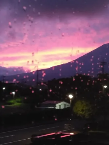 雨粒越しのパープルマジック