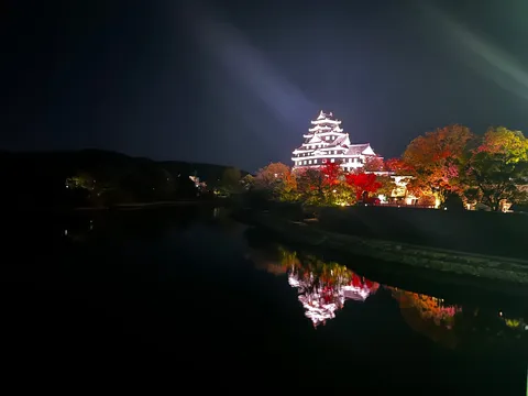 夜空に映える古城の幻想的な姿