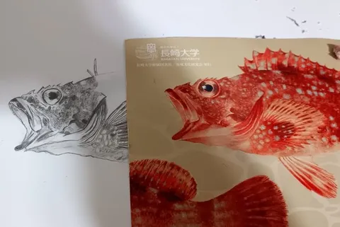 鉛筆vs実物！魚さんの変顔対決