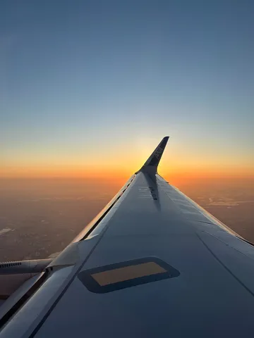 空と翼、黄金の残照