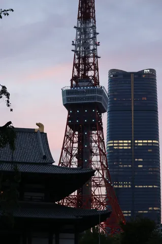新旧が織りなす東京の空