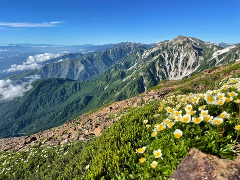山の絨毯、雲海の贅沢