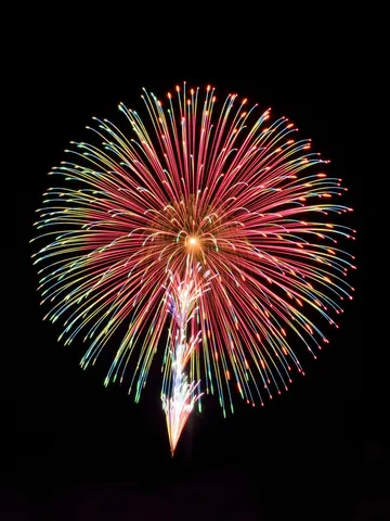夜空を彩る光の華