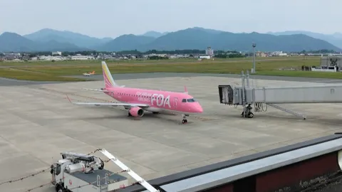ピンクの飛行機が描く旅の静寂