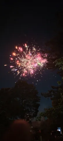 夜空に咲く、一瞬の光の華
