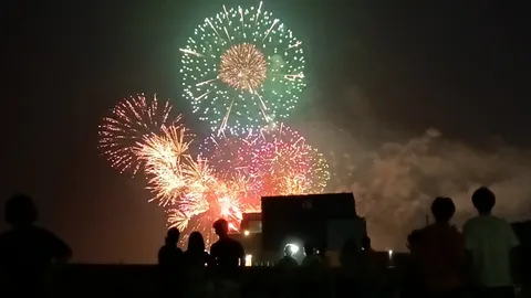 夜空を彩る花火の饗宴