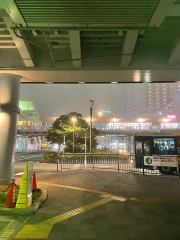 とある霧の夜、大都会海老名。