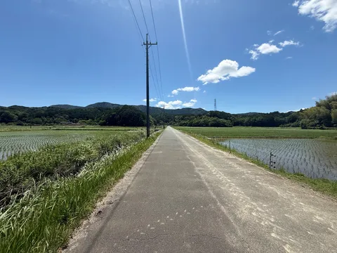 田園風景を抜ける一本道